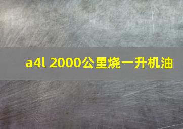 a4l 2000公里烧一升机油